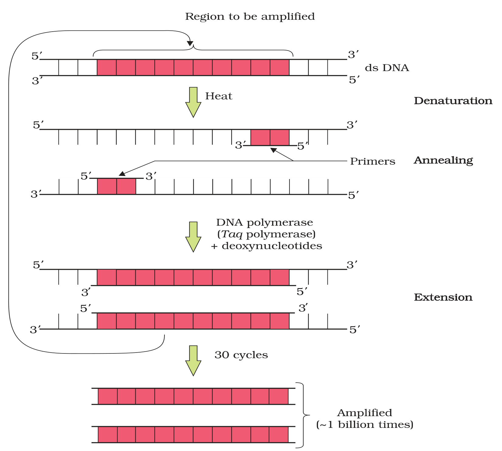 Textbook figure