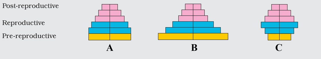 Age pyramids A, B and C