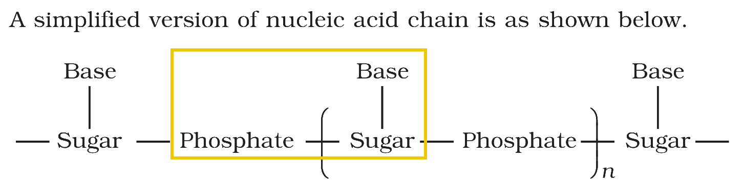 Textbook extract