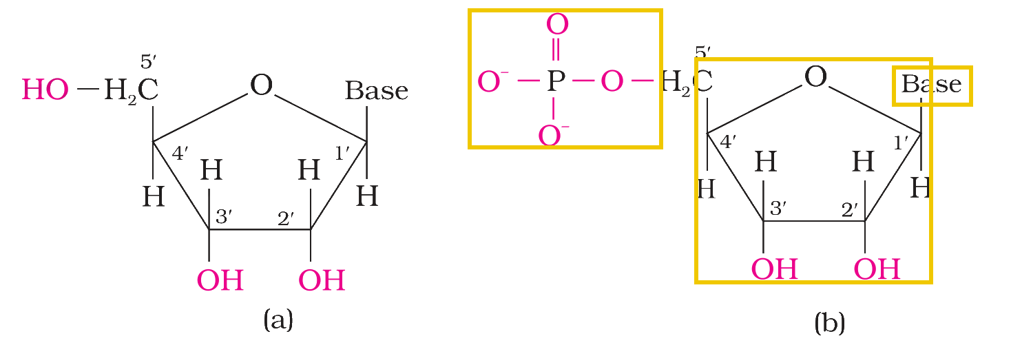 Textbook figure