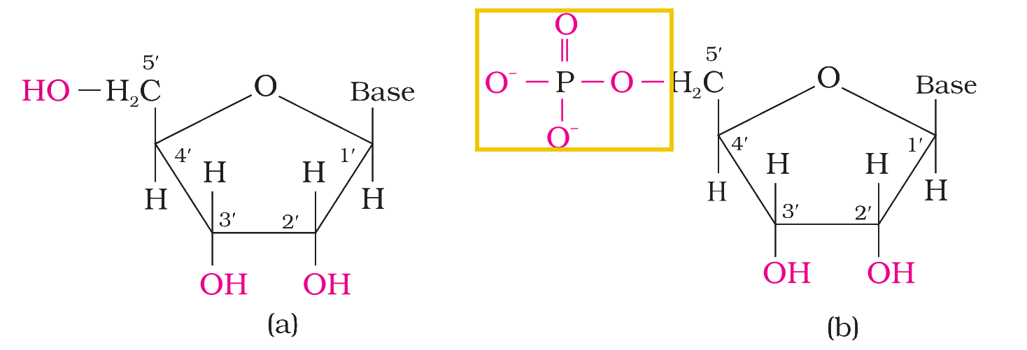 Textbook figure