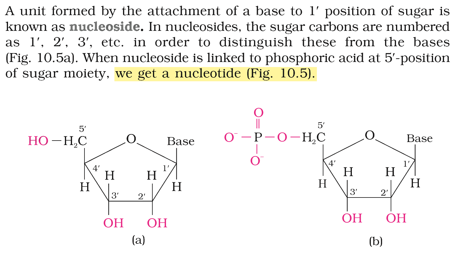 Textbook extract