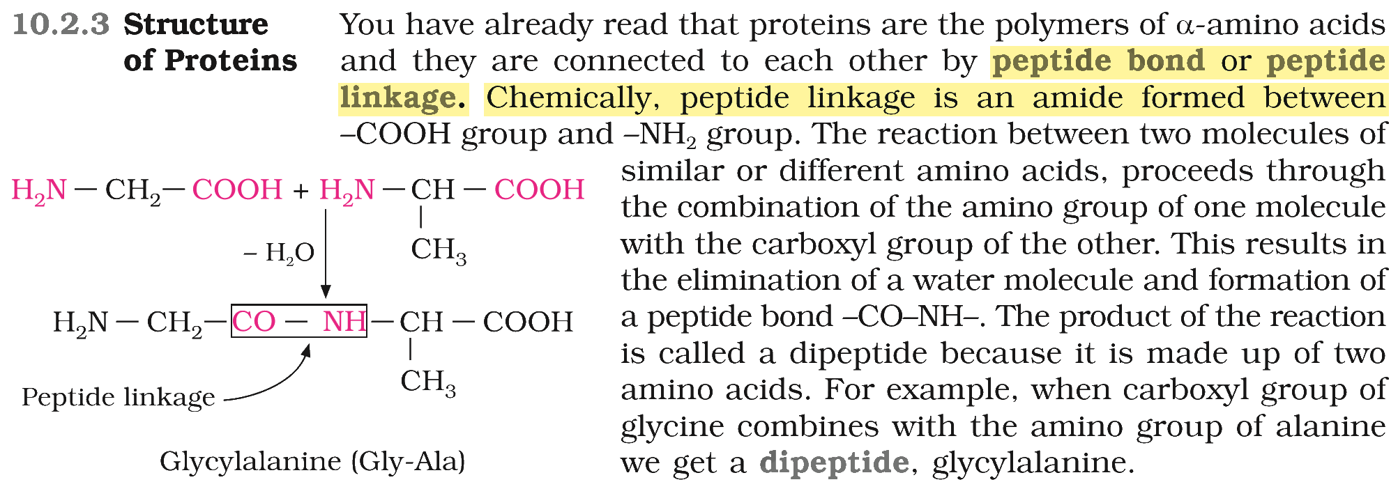 Textbook extract