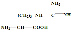 Option 1 for Q9