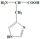Option 2 for Q9