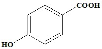 Option 1 for Q4