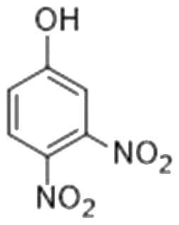 Option 1 for Q18