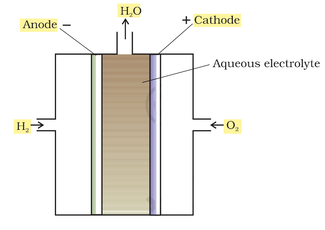 Textbook figure