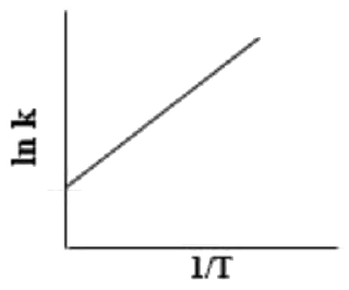 Option 4 for Q40