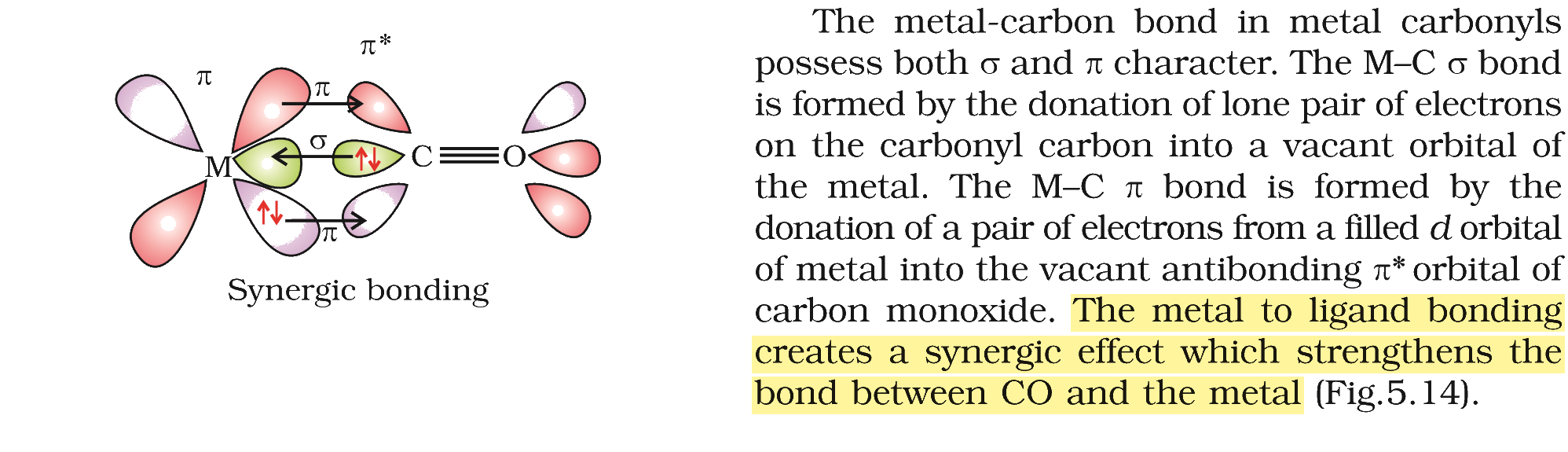 Textbook extract