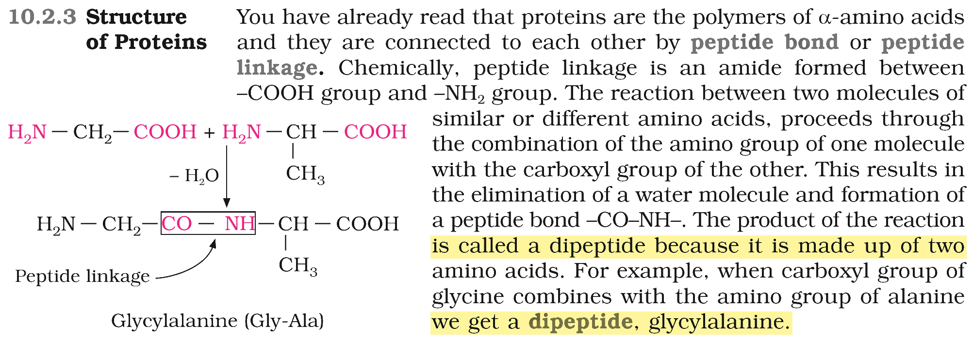 Textbook extract