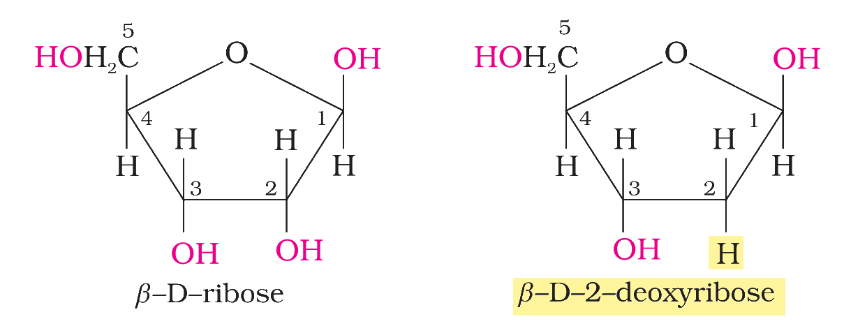 Textbook figure