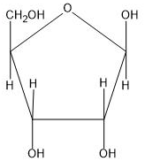 Option 1 for Q40