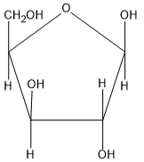 Option 2 for Q40