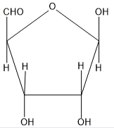 Option 3 for Q40