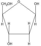 Option 4 for Q40
