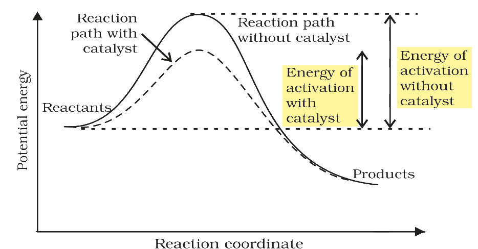 Textbook extract
