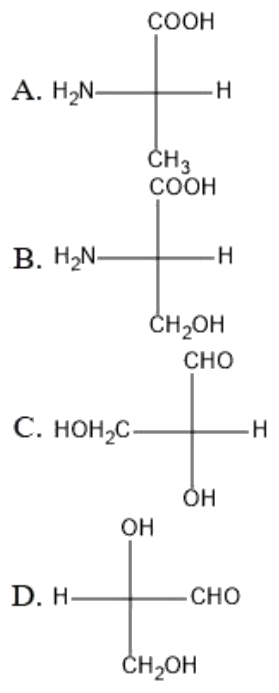 Figure for Q31