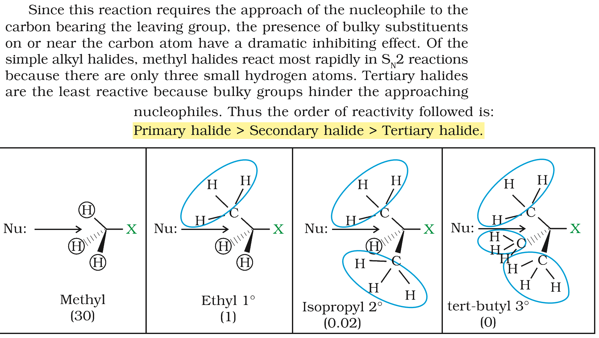 Textbook extract