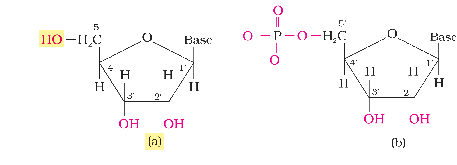 Textbook figure