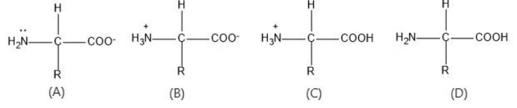 Figure for Q6