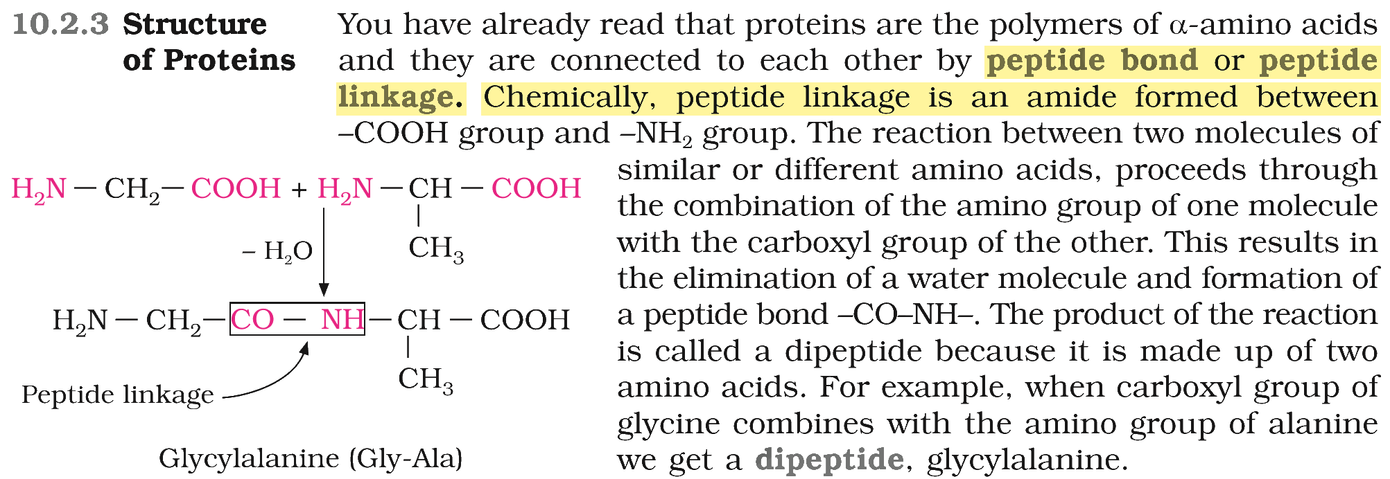 Textbook extract