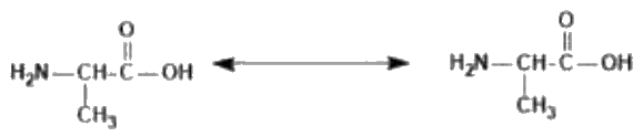 Option 1 for Q13