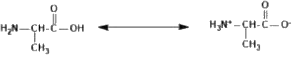 Option 2 for Q13