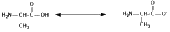 Option 3 for Q13