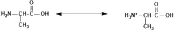 Option 4 for Q13