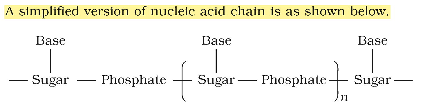Textbook extract