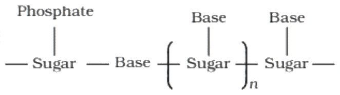 Option 4 for Q20