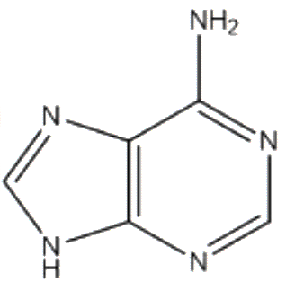 Option 1 for Q5