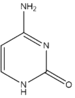Option 3 for Q5
