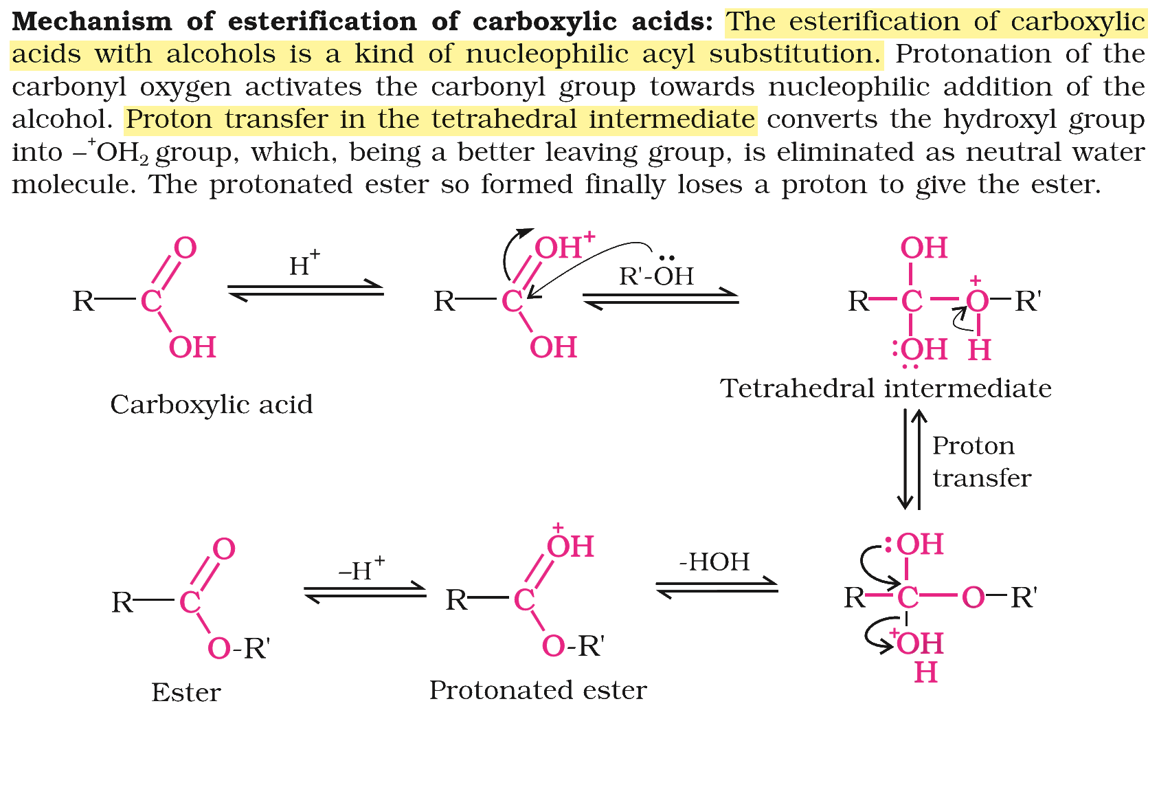 Textbook extract