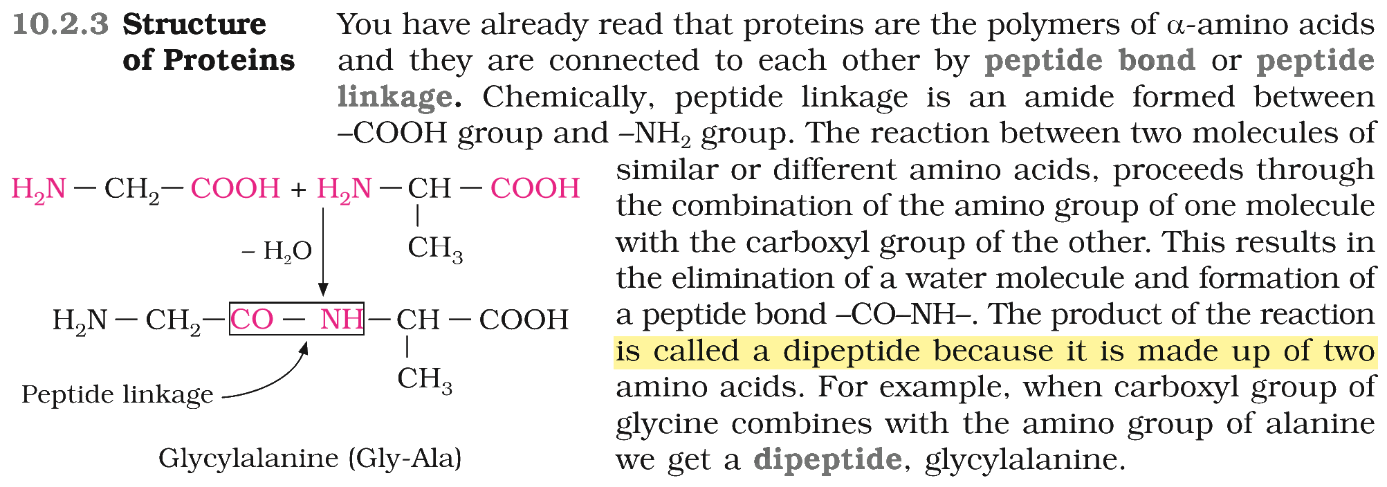 Textbook extract