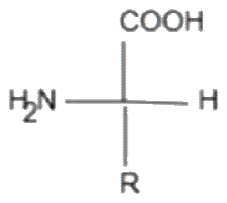 Structure for Q13