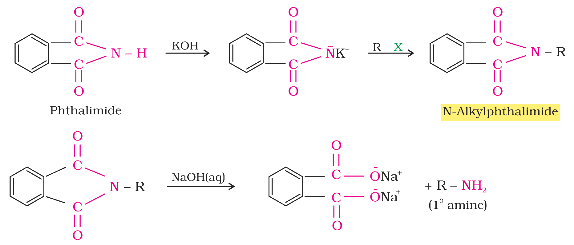 Textbook extract