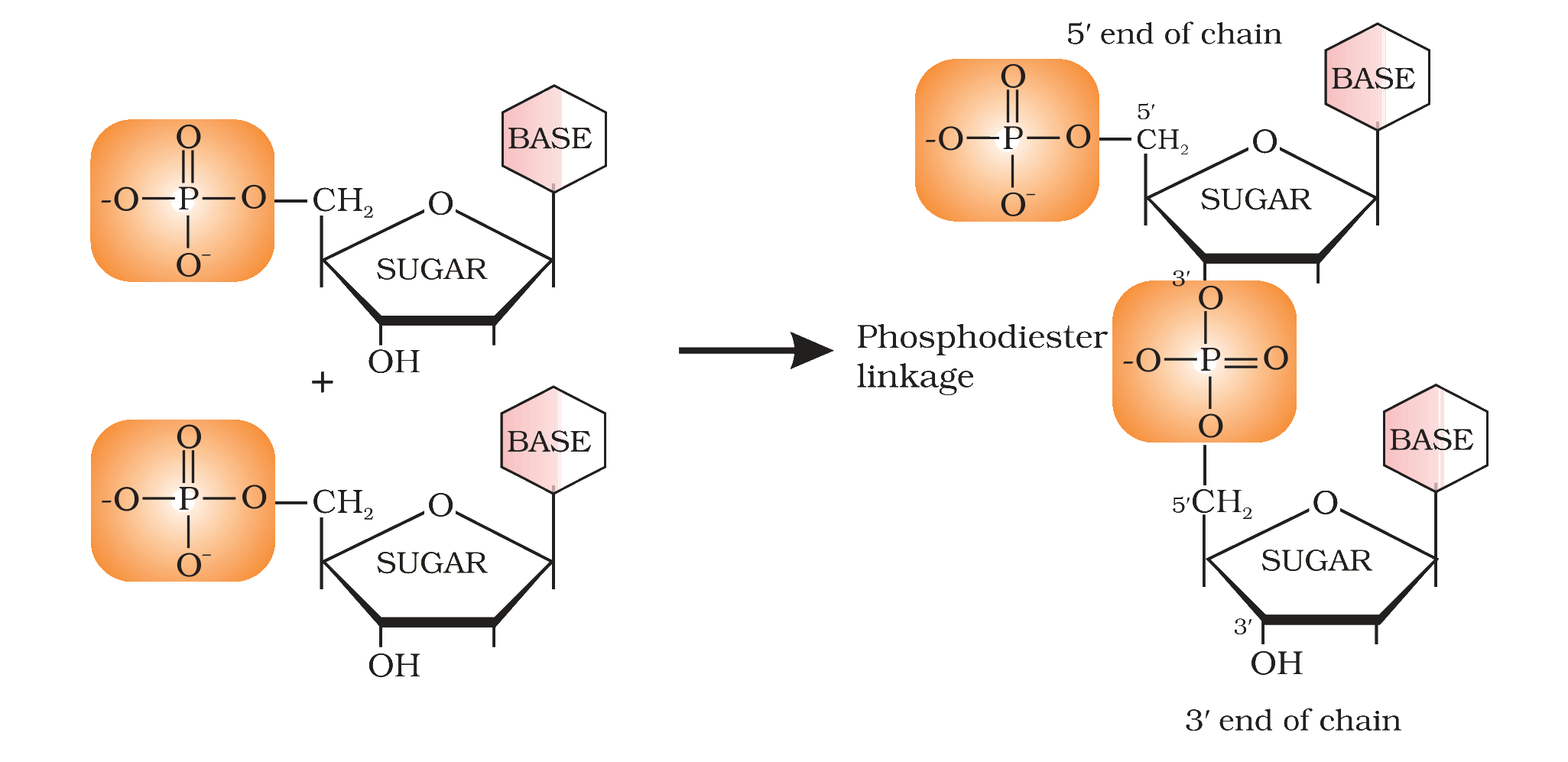 Fig. 10.6