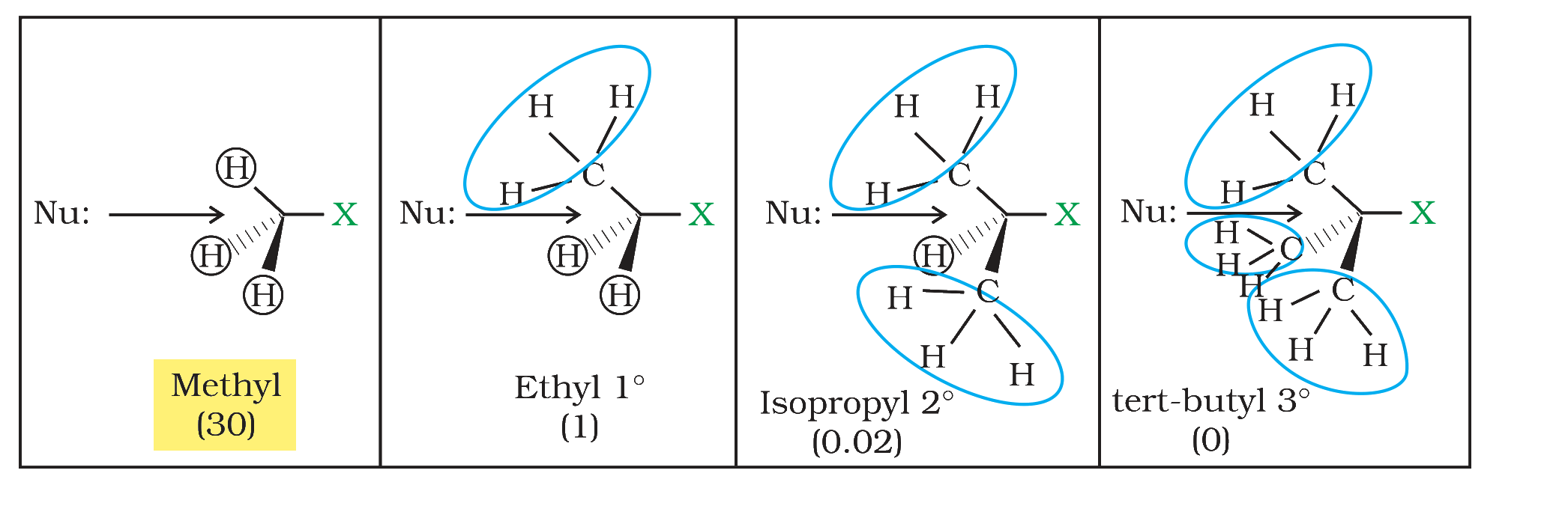 Textbook extract