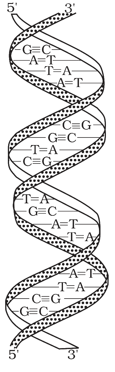 Fig. 10.7