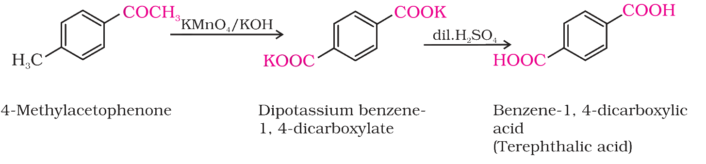 Textbook extract