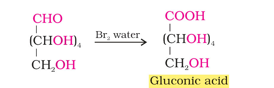 Textbook extract