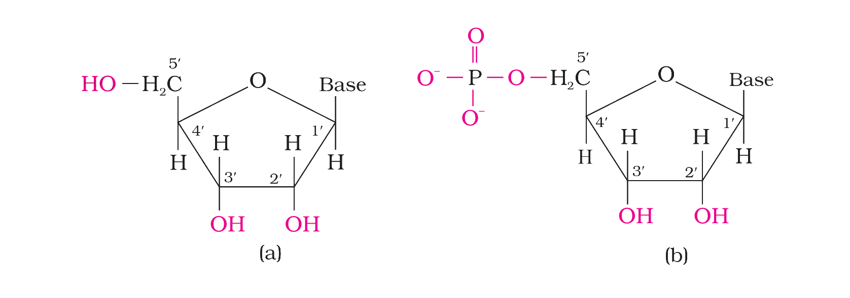 Fig. 10.5