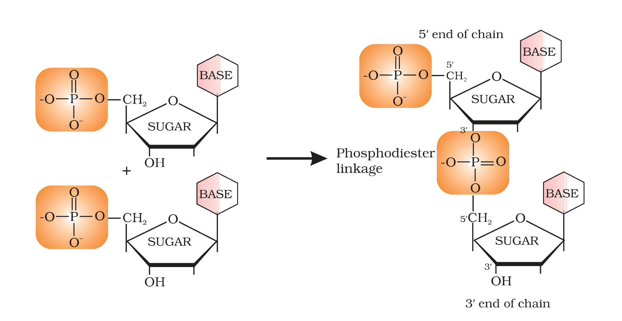 Fig. 10.6