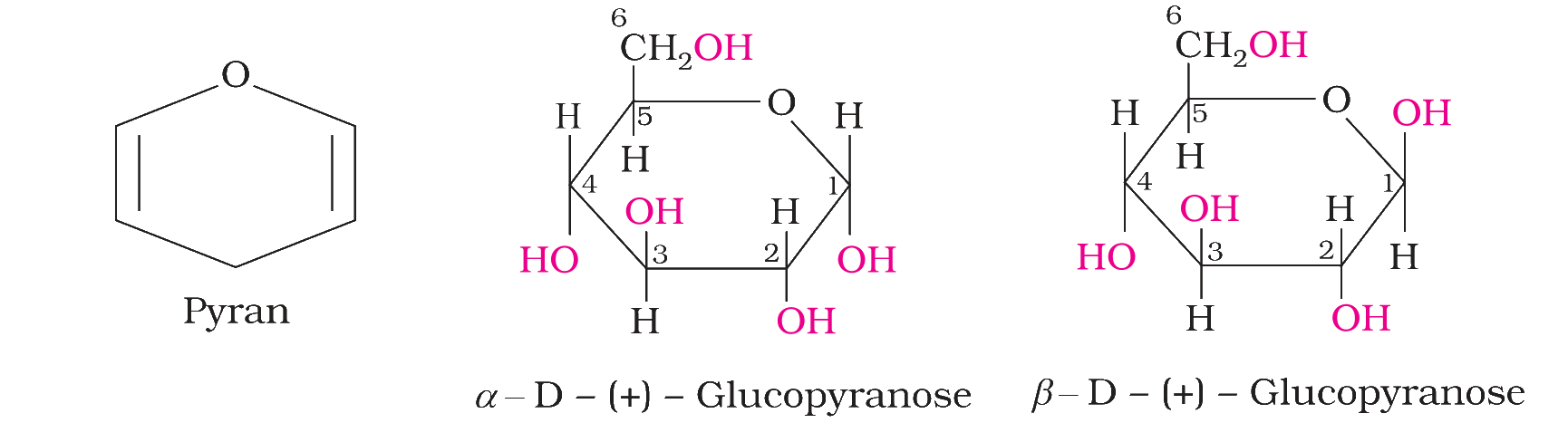 Haworth structures of glucose