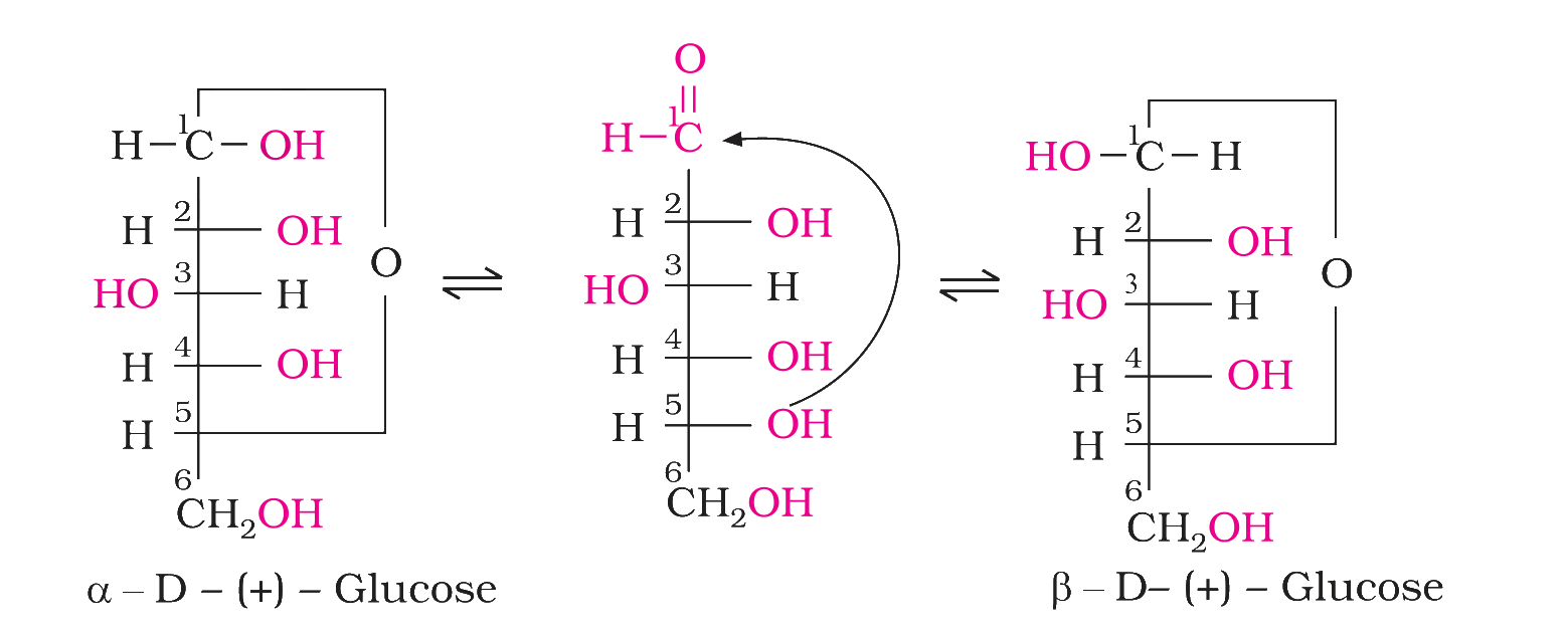Textbook extract