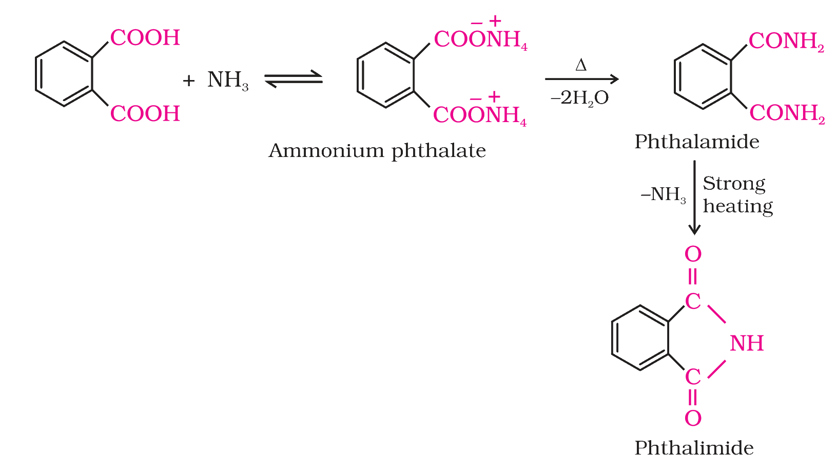 Textbook extract