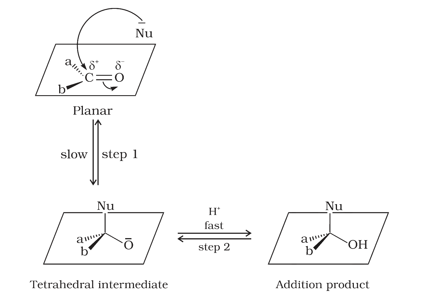 Fig. 8.2 Nucleophilic attack on carbonyl carbon