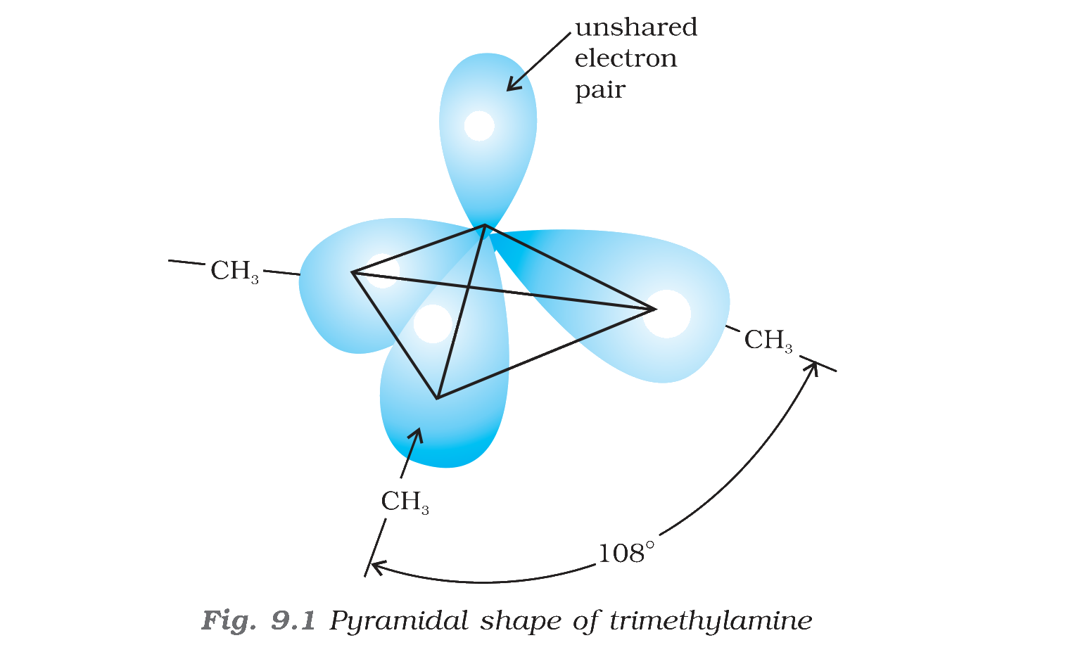 Fig. 9.1